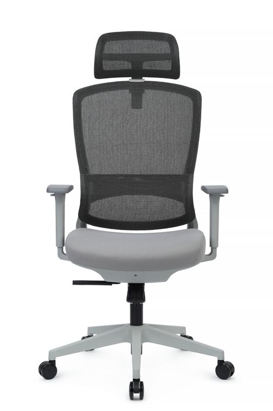 Кресло Скилл RCH 6245AX-HS Серый